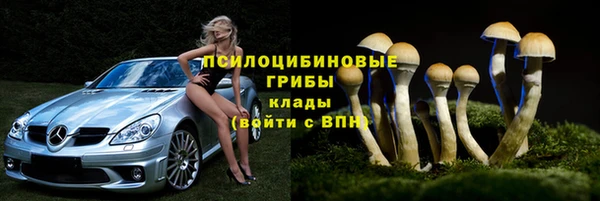 МДПВ Алзамай