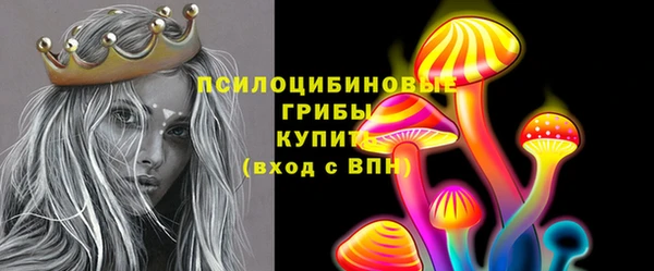МДПВ Алзамай