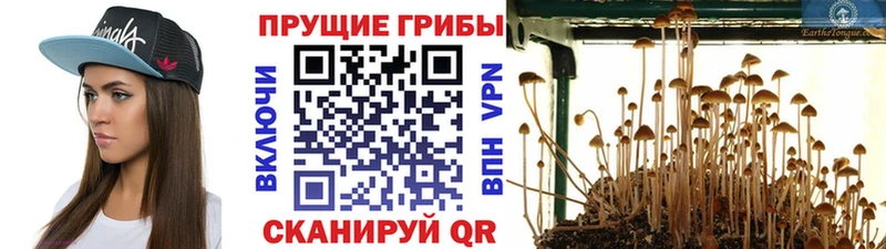 Галлюциногенные грибы ЛСД  цена наркотик  гидра рабочий сайт  Белая Калитва 